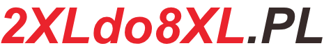 2XLDO8XL – duża odzież męska