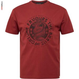 Ceglany T-shirt ze smokiem Allsize