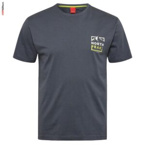 Szary T-shirt z nadrukiem na plecach Allsize